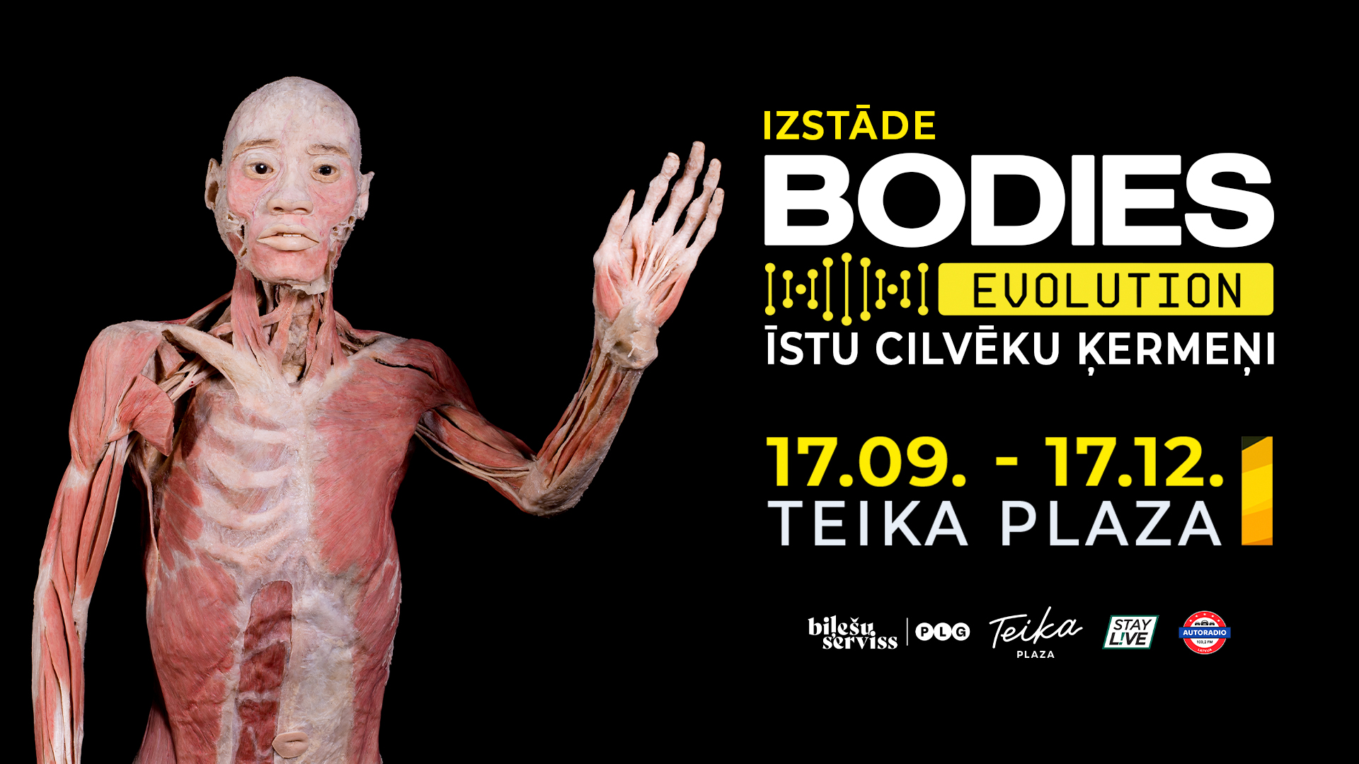 BODIES Evolution — выставка №1 в мире о человеческом теле