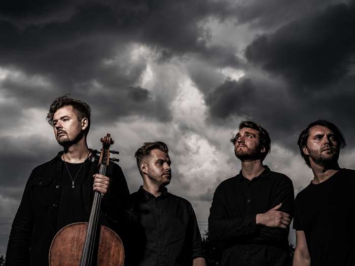 DAGAMBA horizontal small